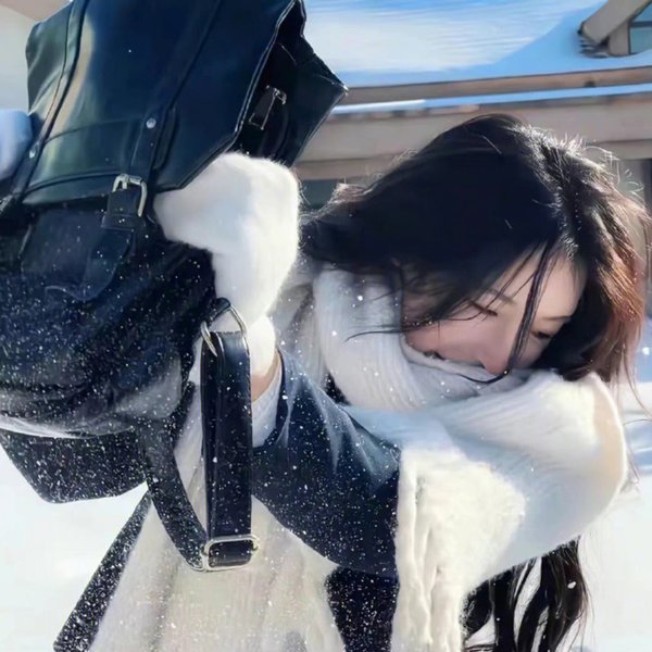终极宝镳海报