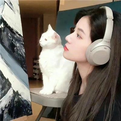 我叫白小飞海报