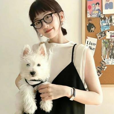 坏蛋先生4海报